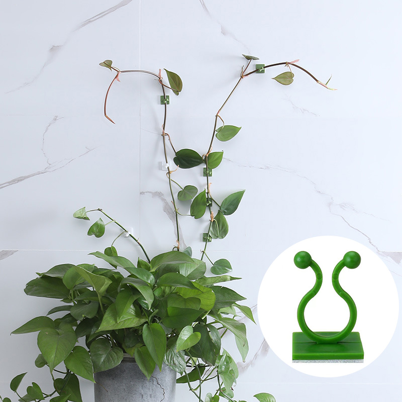 100 szt. Klipsów do mocowania  – Wall Anchor Plastic recenzja i cena