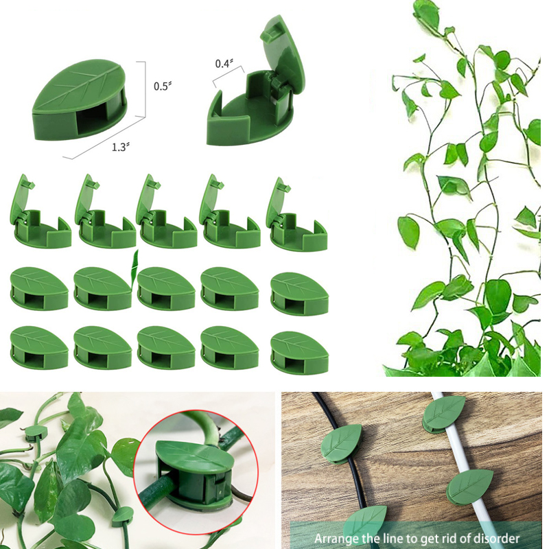 Niewidoczna roślina wspinaczko – Wall Anchor Plastic recenzja i cena