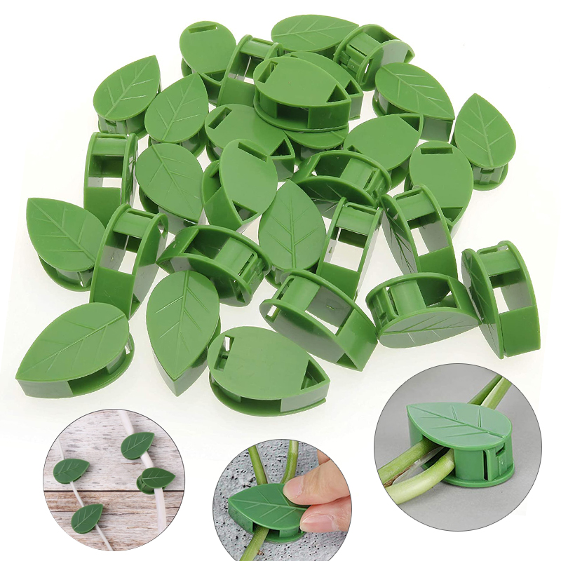 Niewidoczna roślina wspinaczko – Wall Anchor Plastic recenzja i cena