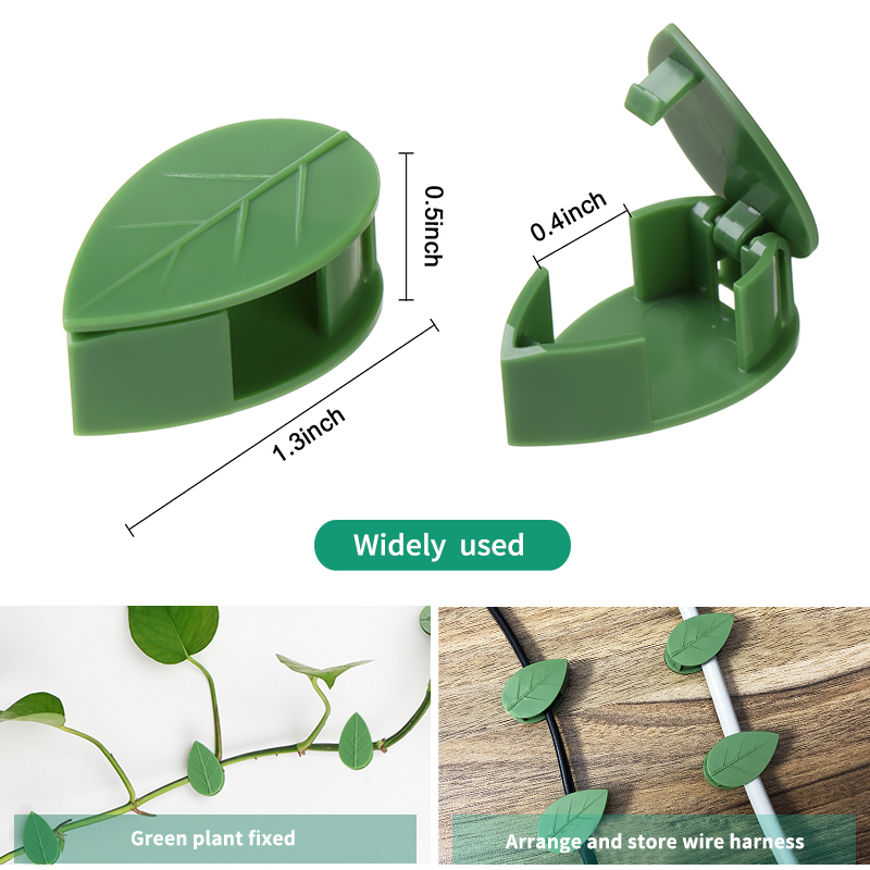 Niewidoczna roślina wspinaczko – Wall Anchor Plastic recenzja i cena